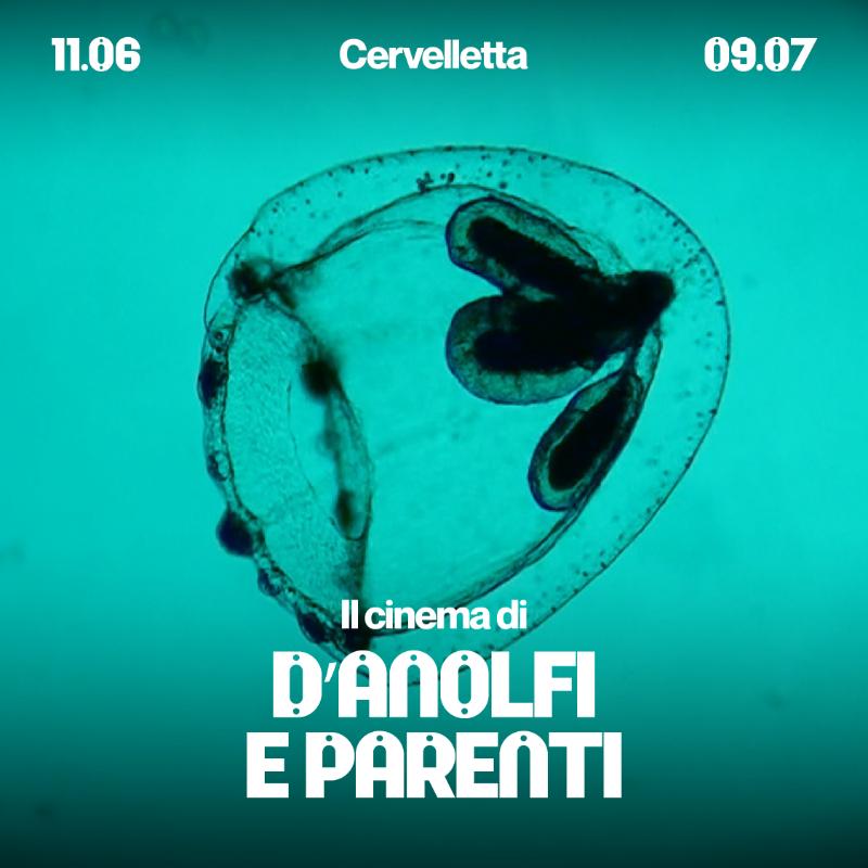 Il Cinema di Massimo D'Anolfi e Martina Parenti
