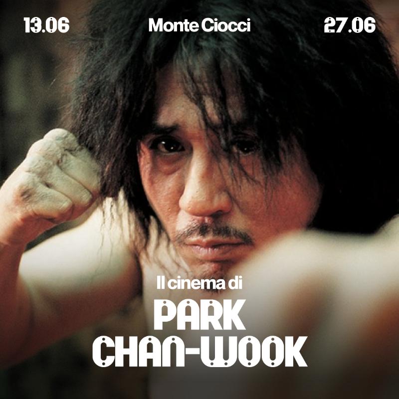 Il Cinema di Park Chan-wook
